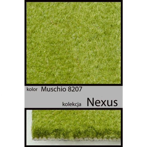 Wykładzina dywanowa NEXUS muschio 8207 _dywanywitek_pl_