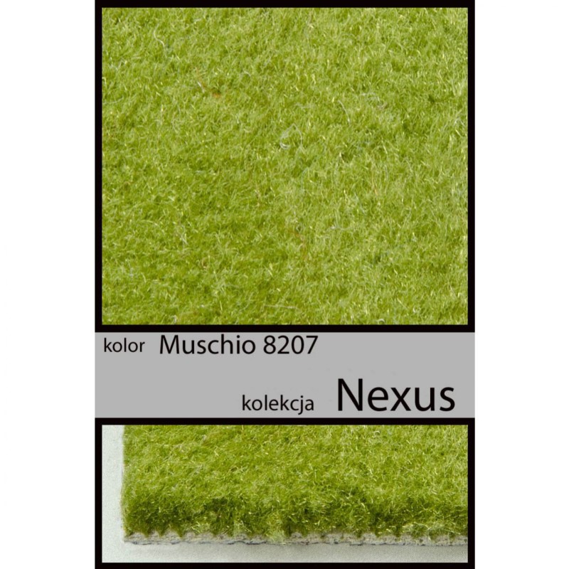 Wykładzina dywanowa NEXUS muschio 8207 _dywanywitek_pl_