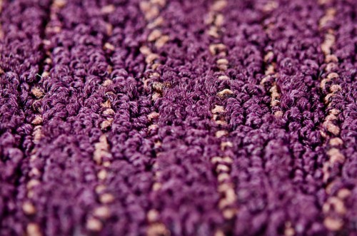 Wykładzina dywanowa SPONTINI 85 _dywanywitek_pl_2