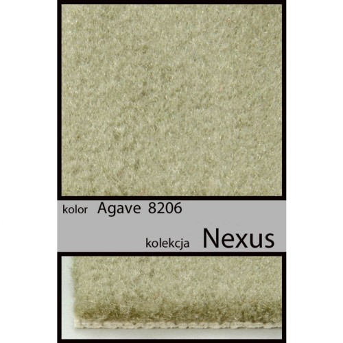 Wykładzina dywanowa NEXUS agave 8206 _dywanywitek_pl_