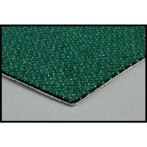 Wykładzina dywanowa FORTESSE n24 _dywanywitek_pl_2