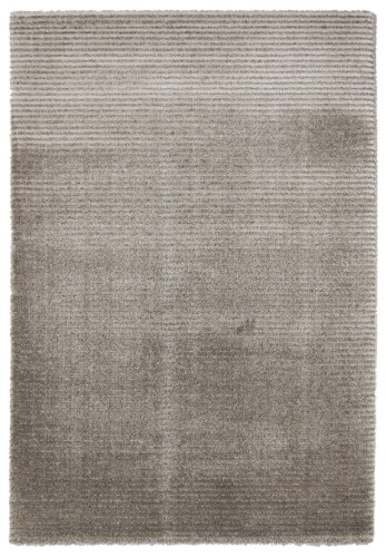 Dywan Ragolle SPECTRUM 80003-4656 jasny szary _dywanywitek_pl_