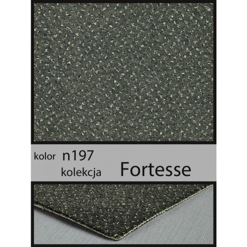 Wykładzina dywanowa FORTESSE n197 4m