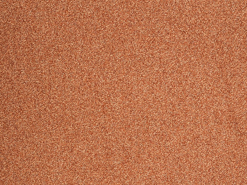 Wykładzina dywanowa EVOLVE 65 _dywanywitek_pl_