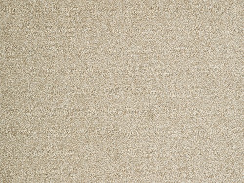 Wykładzina dywanowa EVOLVE 39 5m