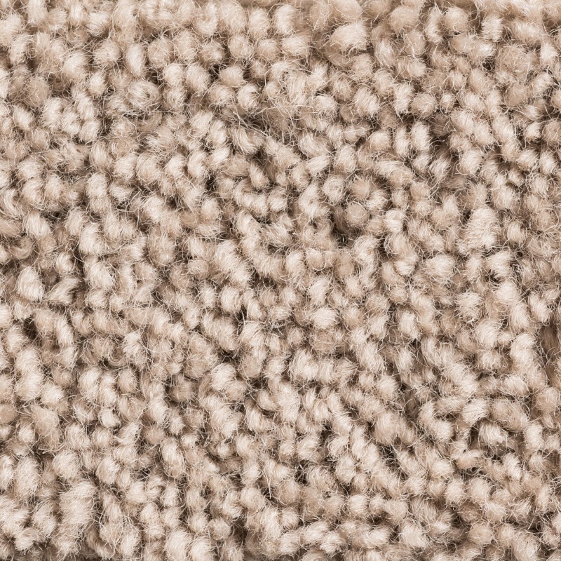 Wykładzina obiektowa wełniana Creatuft Ceres 3048