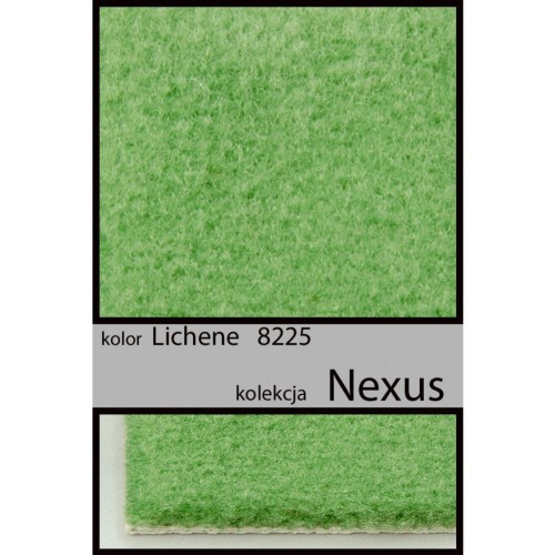 Wykładzina dywanowa NEXUS lichene 8225 _dywanywitek_pl_