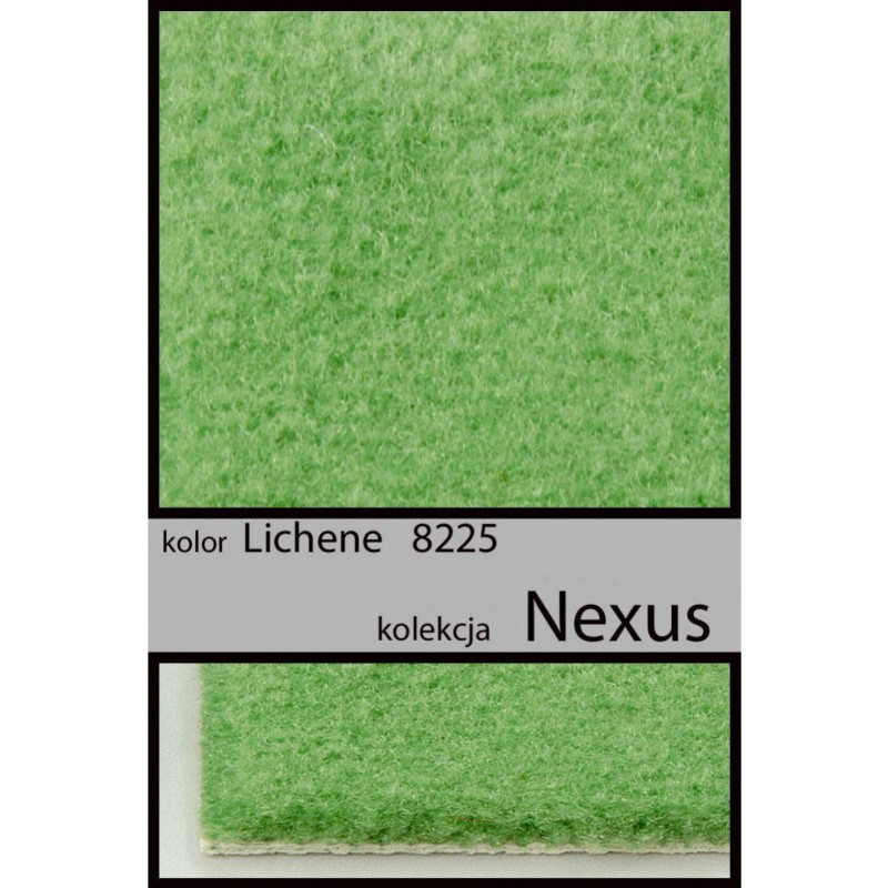 Wykładzina dywanowa NEXUS lichene 8225 _dywanywitek_pl_