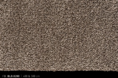 Wykładzina dywanowa Bloss 0280 _dywanywitek_pl_