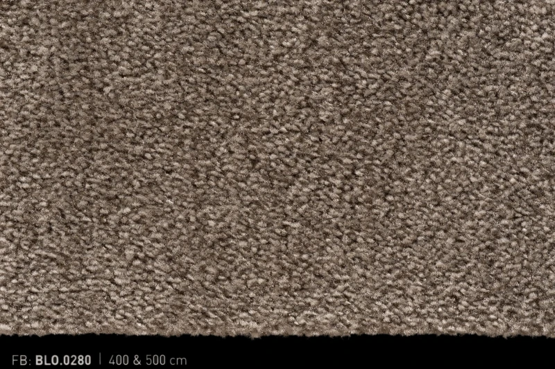 Wykładzina dywanowa Bloss 0280 _dywanywitek_pl_