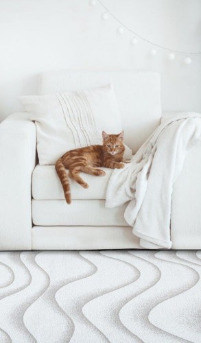 Dywan Carpet Decor Magic Home SABBIA beige _dywanywitek_pl_3