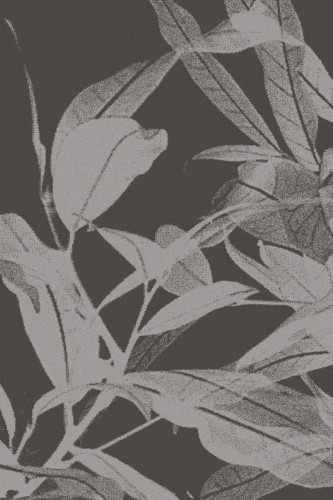 Dywan wełniany Agnella Tempo Natural Ganges grafitowy (binding)