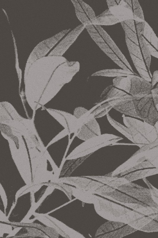 Dywan wełniany Agnella Tempo Natural Ganges grafitowy