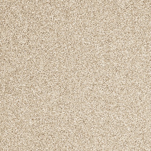 Wykładzina dywanowa EVOLVE 33 5m