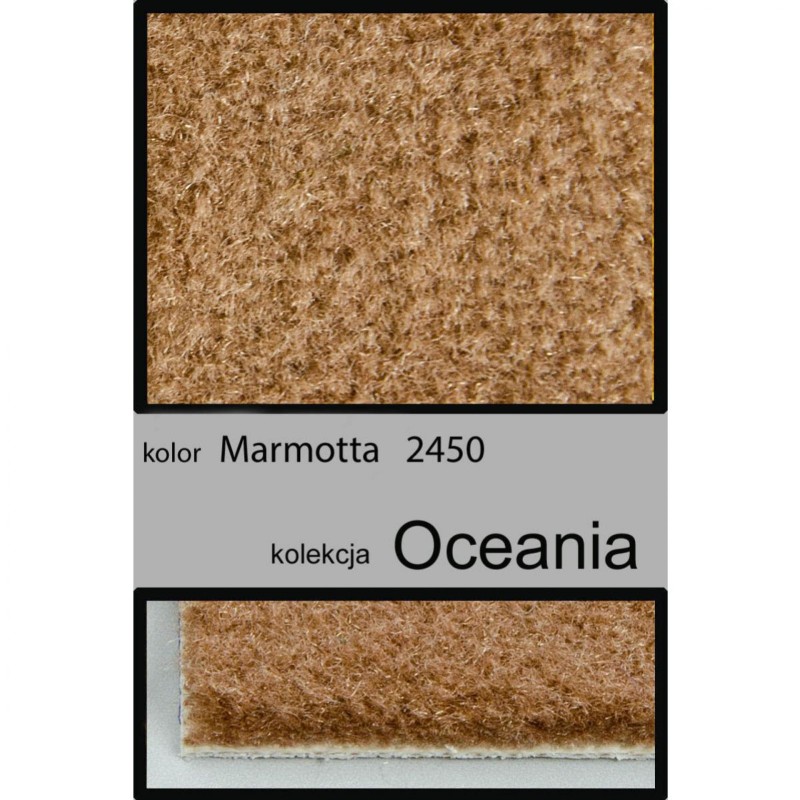 Wykładzina dywanowa OCEANIA 2450 marmotta _dywanywitek_pl_