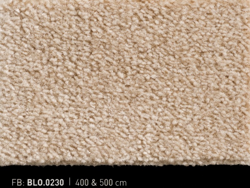 Wykładzina dywanowa Bloss 0230 _dywanywitek_pl_