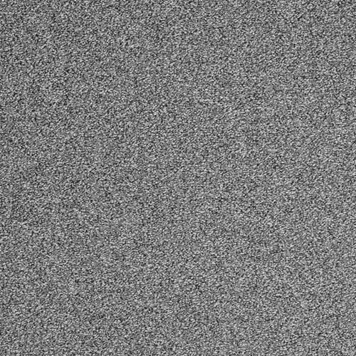 Wykładzina dywanowa EVOLVE 95 4m