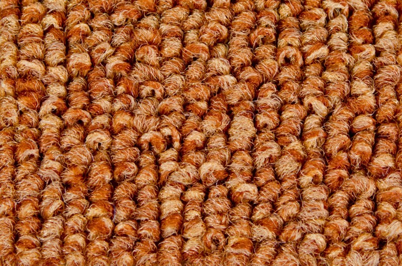 Wykładzina dywanowa MASTER 55 _dywanywitek_pl_