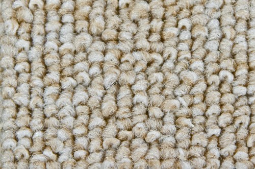 Wykładzina dywanowa MASTER 33 _dywanywitek_pl_