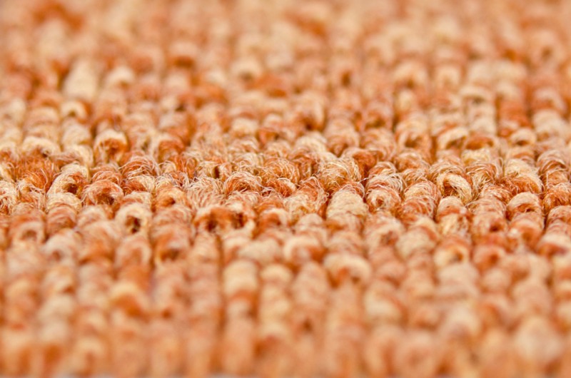 Wykładzina dywanowa MASTER 55 _dywanywitek_pl_2