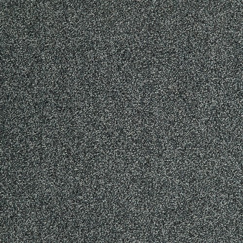 Wykładzina dywanowa EVOLVE 97 5m