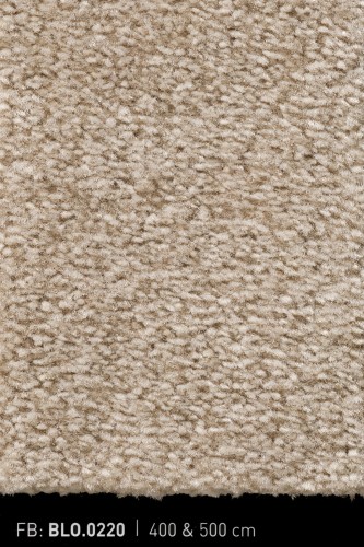 Wykładzina dywanowa Bloss 0220 4m