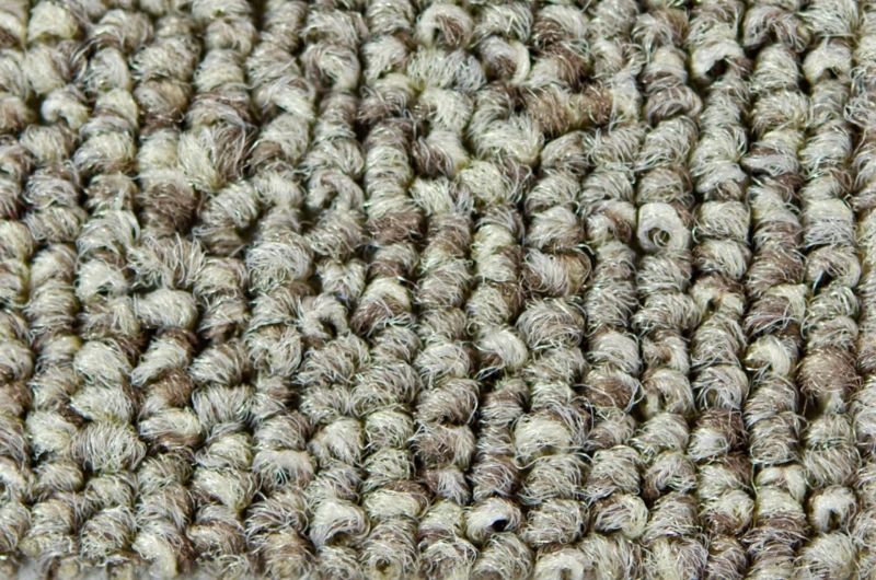 Wykładzina dywanowa MASTER 36 _dywanywitek_pl_