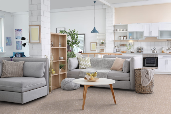 Wykładzina domowa do salonu FD LUSH 40152