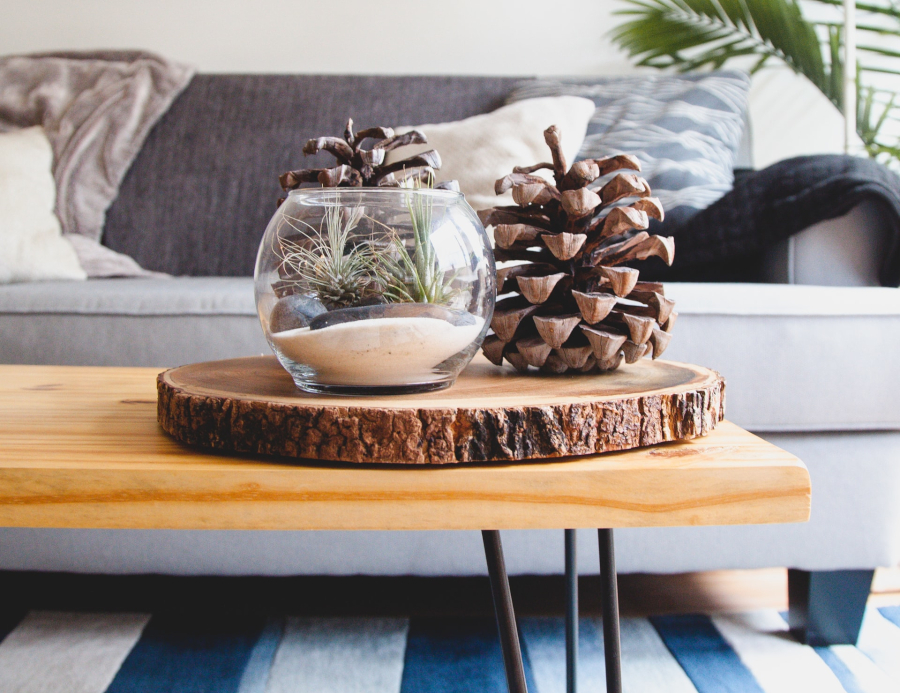 Pomysły na dekorację pomieszczenia motywem leśnym